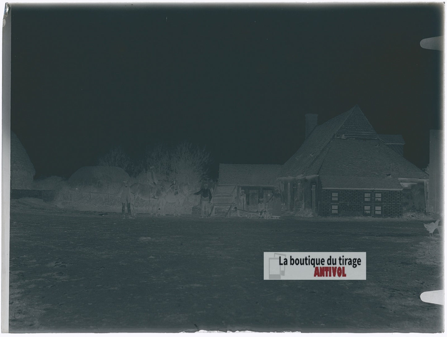 Ferme rurale avec chevaux, plaque verre photo ancienne, négatif 9x12 cm