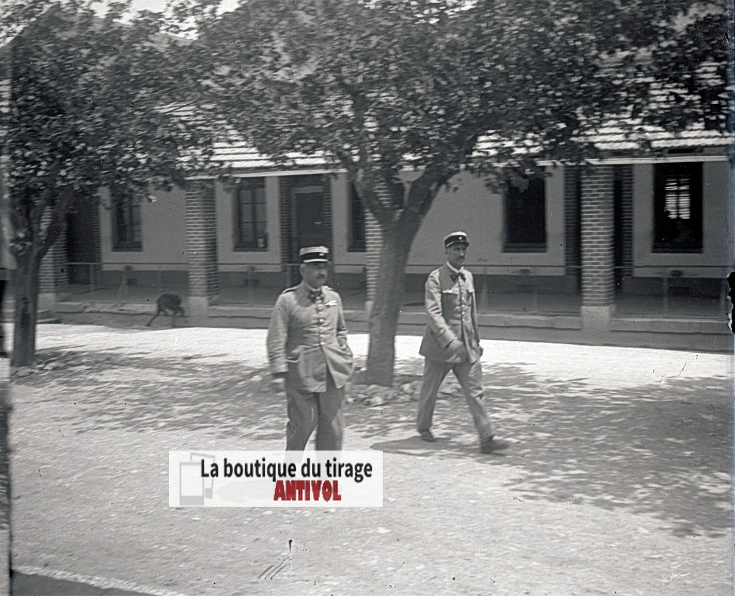 Algérie, Officiers militaires, plaque verre, photo stéréo, négatif N&B 6x13 cm