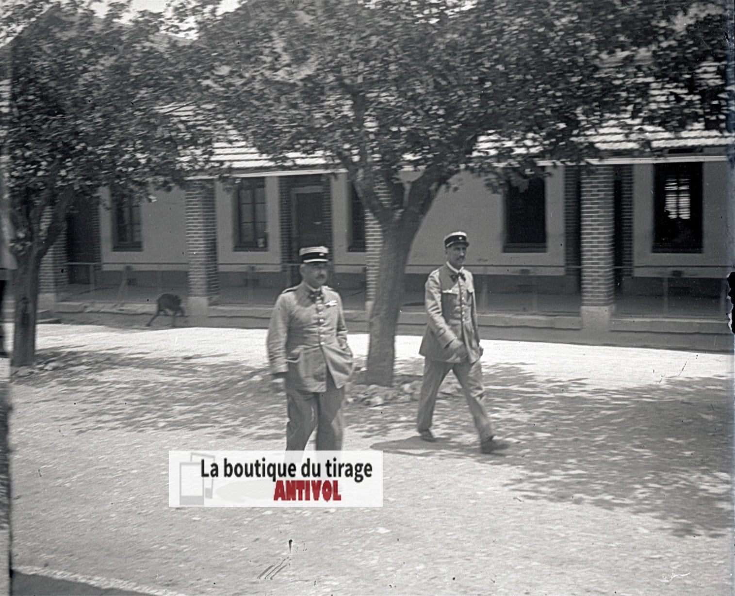 Algérie, Officiers militaires, plaque verre, photo stéréo, négatif N&B 6x13 cm