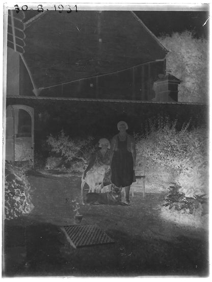 Plaque verre photo ancienne négatif noir et blanc 9x12 cm femme chiens France 