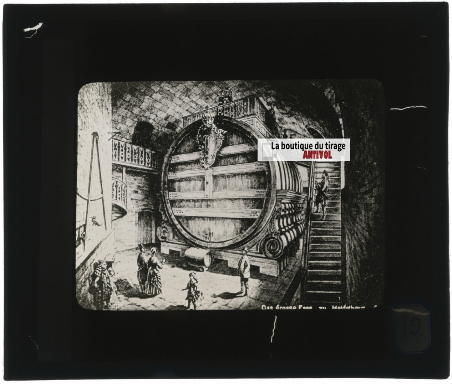 Tonneaux monstres, Heidelberg, Allemagne, photo plaque verre, positif 8,5x10 cm