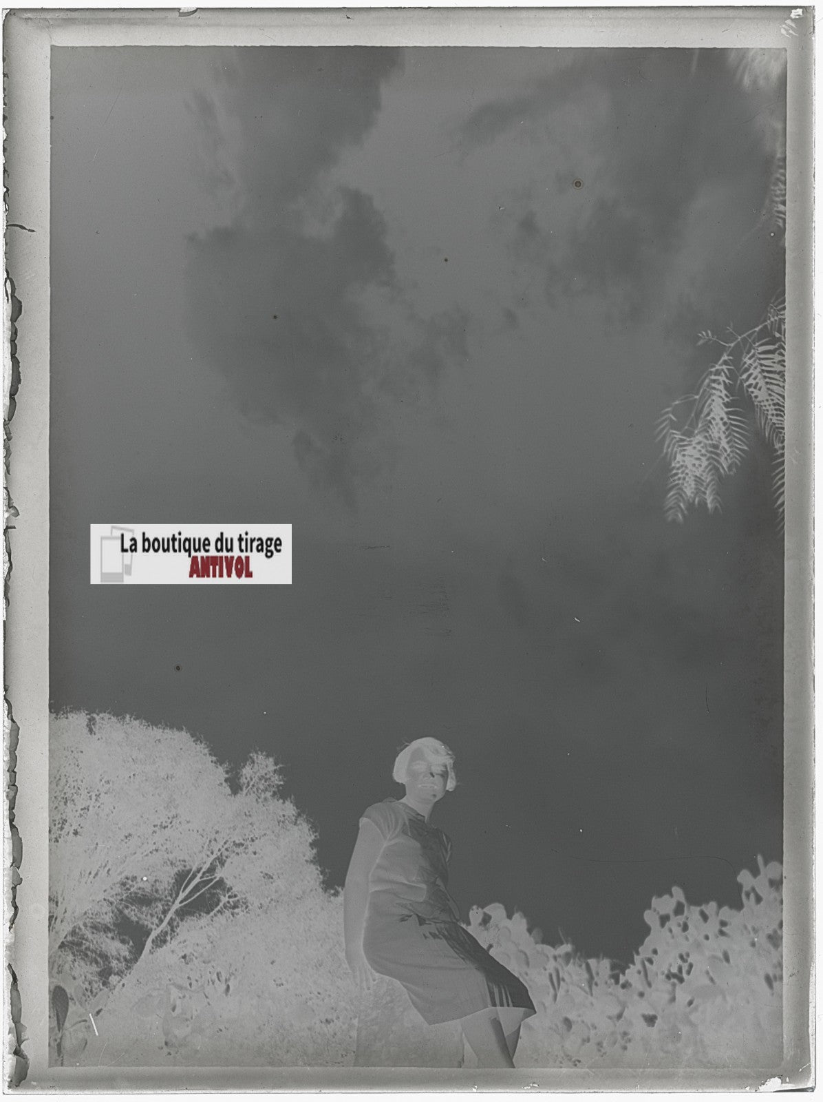 Portrait femme, photo ancienne plaque verre, négatif noir & blanc, 9x12 cm