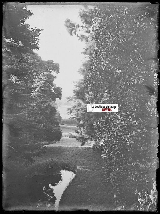 Parc, jardin, France, Plaque verre photo ancienne, négatif noir & blanc 9x12 cm