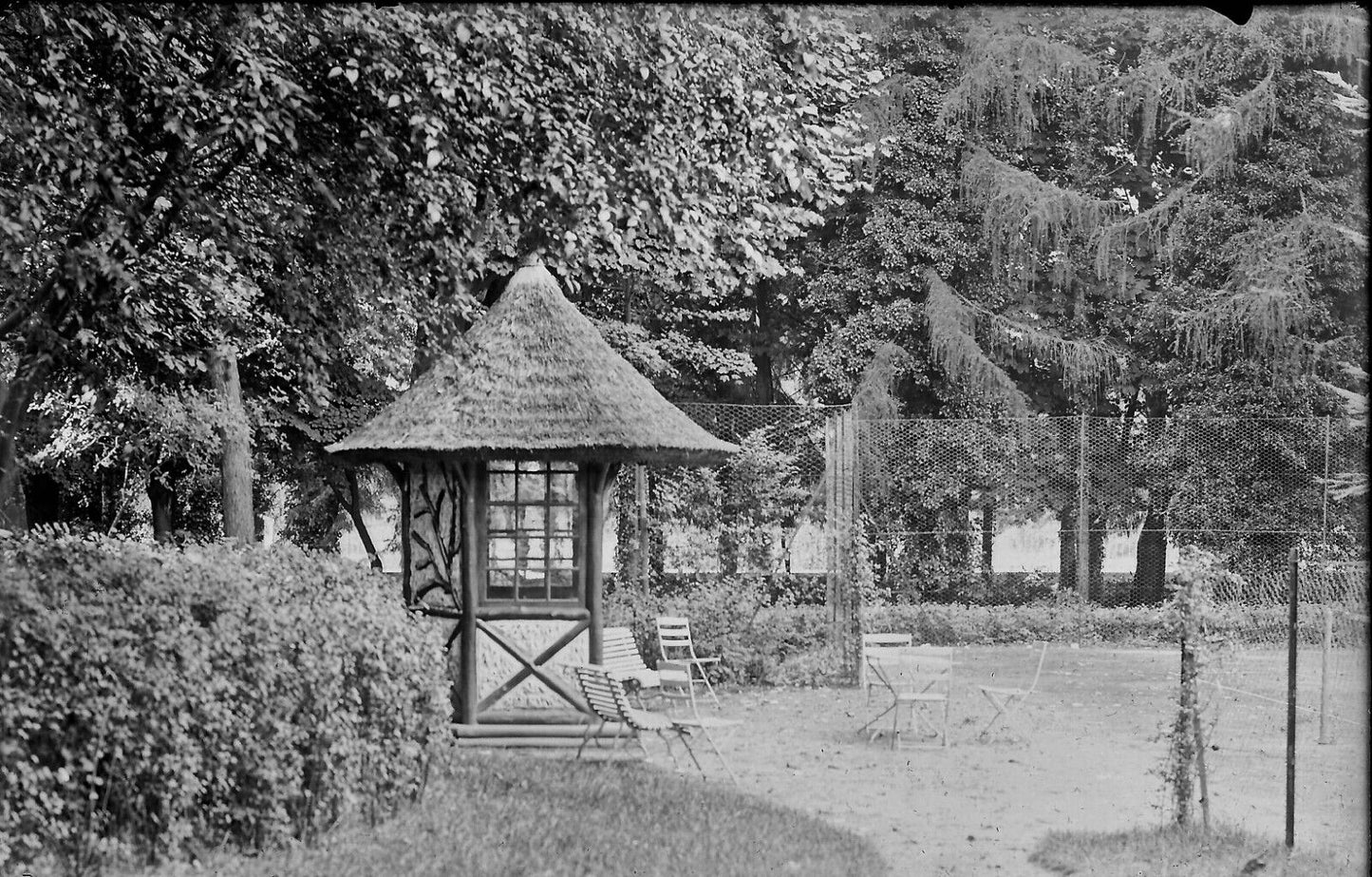 Plaque verre photo ancienne négatif 9x14 cm, noir et blanc château arbre 