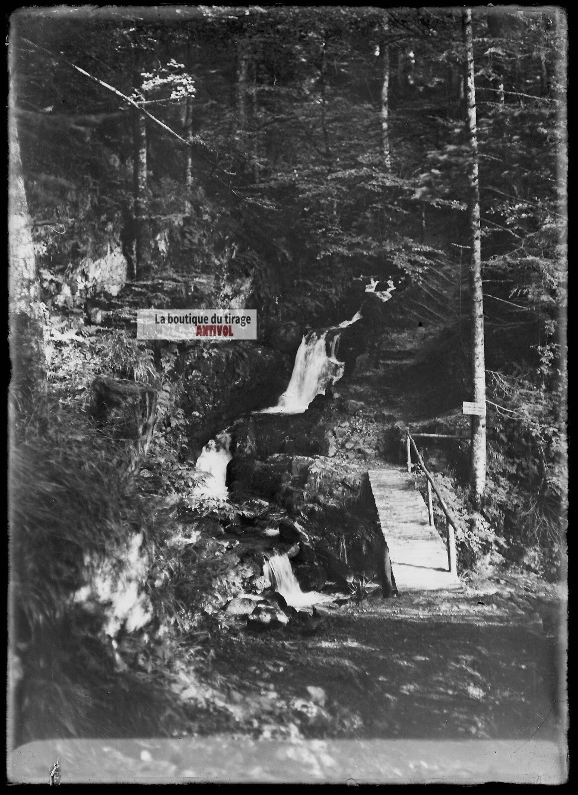 Plaque verre photo ancienne négatif noir et blanc 13x18 cm Gérardmer Roitelets