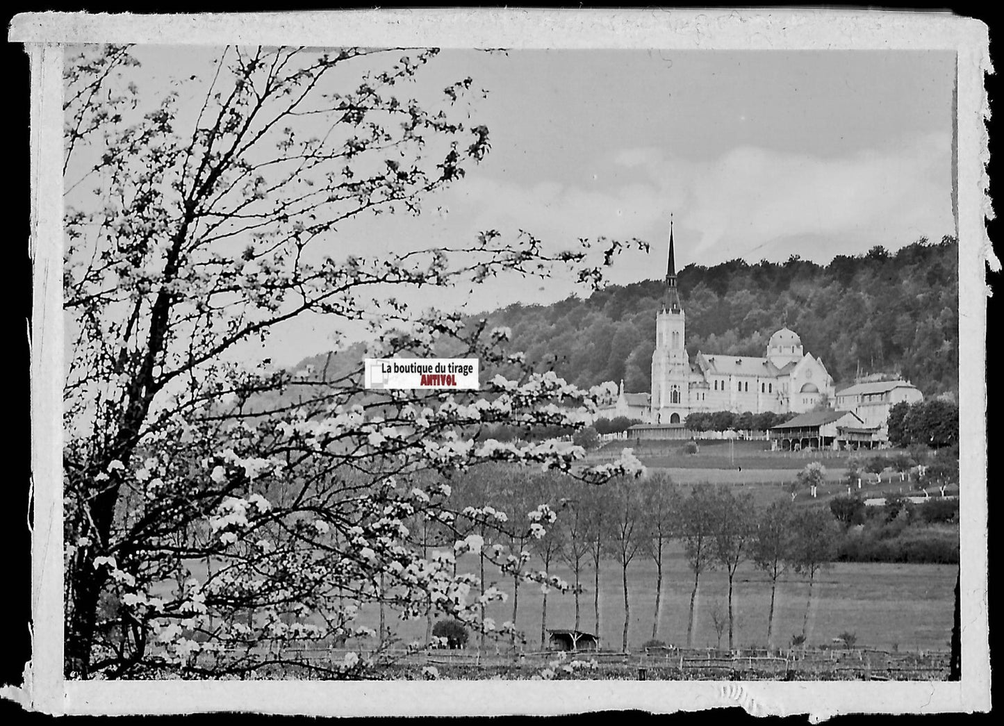 Domrémy-la-Pucelle, Plaque verre photo ancienne, négatif noir & blanc 6x9 cm