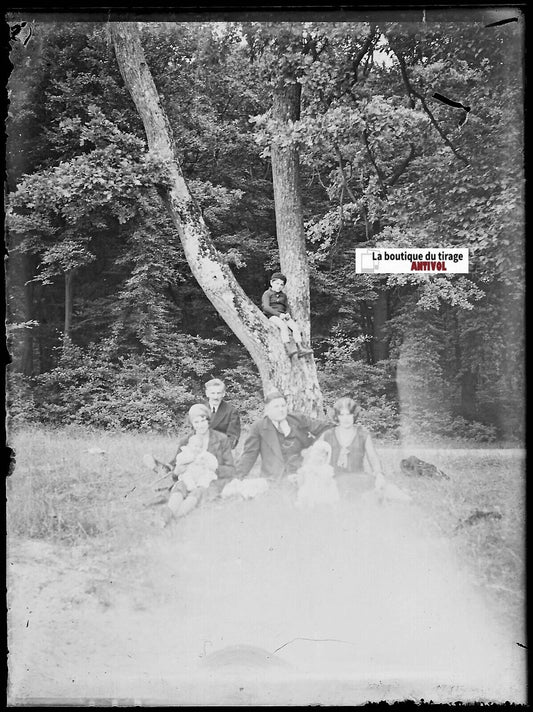 Famille, forêt arbre, Plaque verre photo ancienne, négatif noir & blanc 9x12 cm