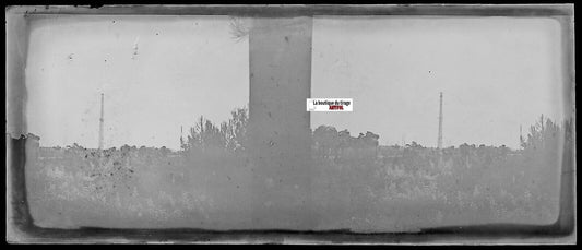 Route, ânes, Plaque verre photo stéréo, négatif noir & blanc 4,5x10,7 cm