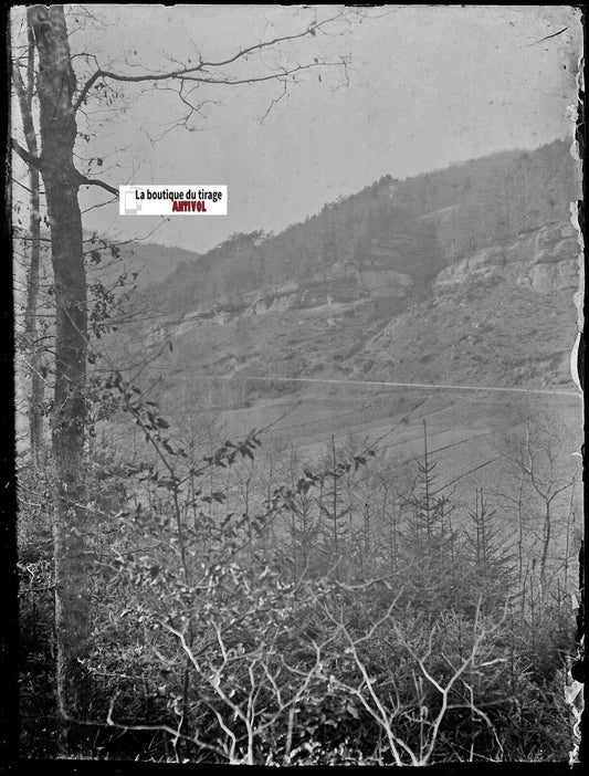 Paysage, route, Plaque verre photo ancienne, négatif noir & blanc 9x12 cm