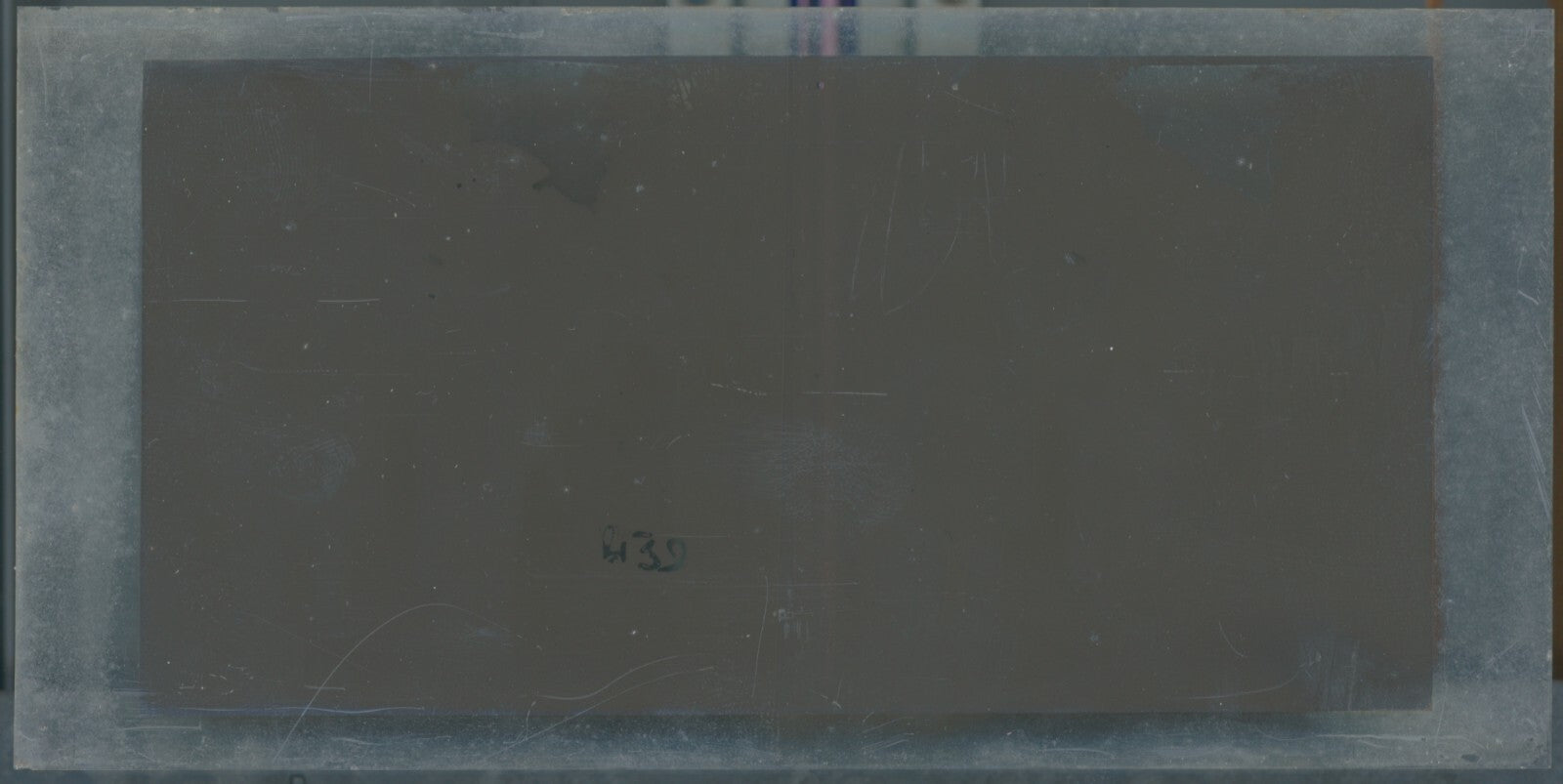 Scène de vie, Longchamp, Paris, plaque verre stéréoscopique, positif 8,5x17 cm