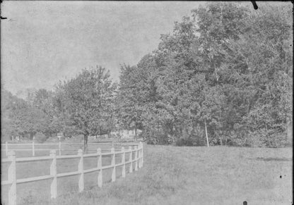 Plaque verre photo ancienne négatif 13x18 cm paysage parc arbres, vintage France