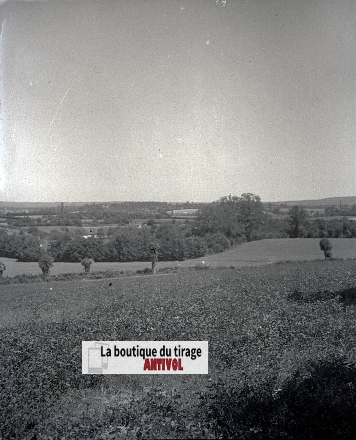 Champs, paysage France, plaque verre, photo ancienne, négatif N&B 6x13 cm