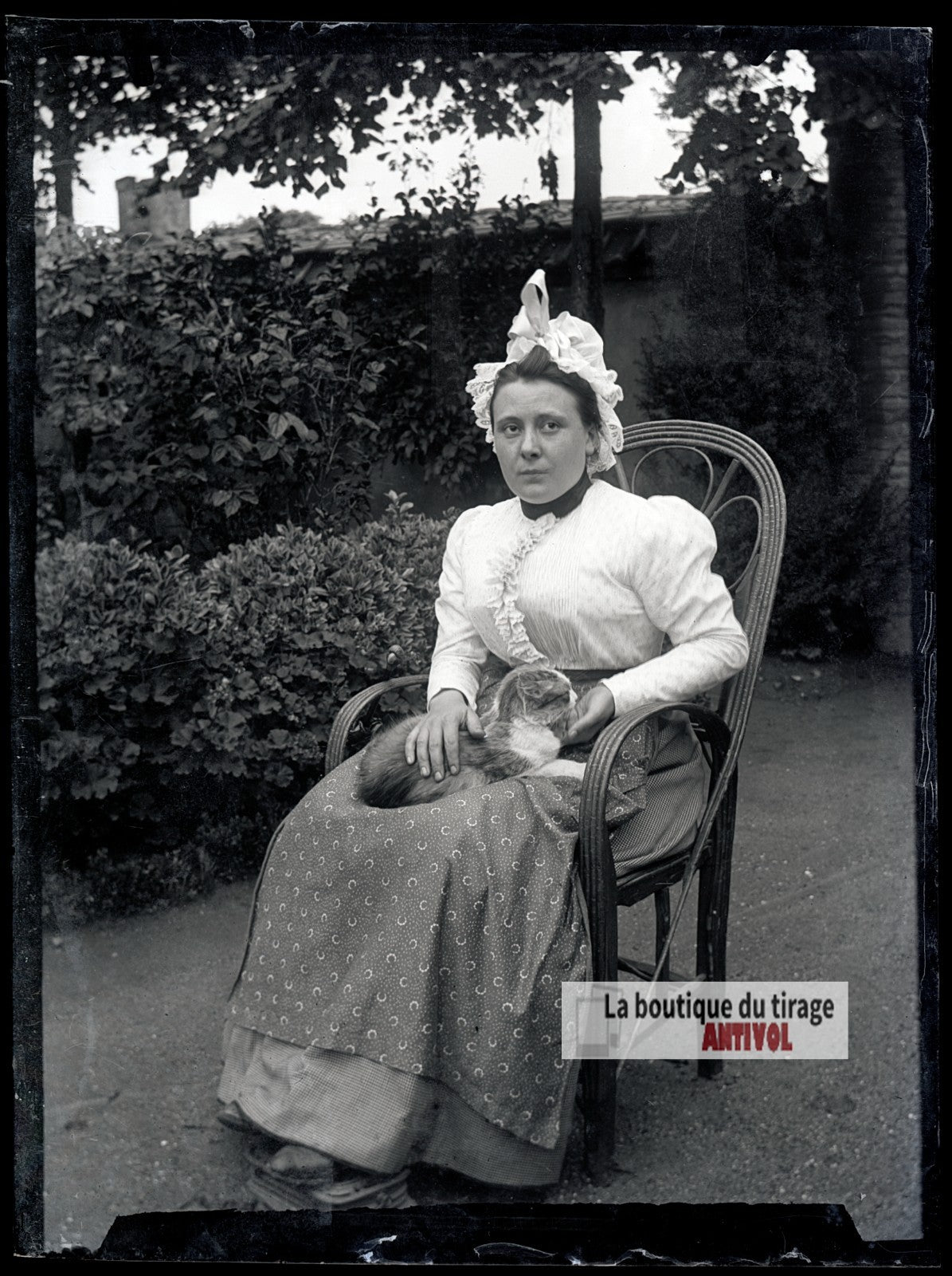 Jeune femme, chat, costume, plaque verre photo ancienne, négatif 9x12 cm