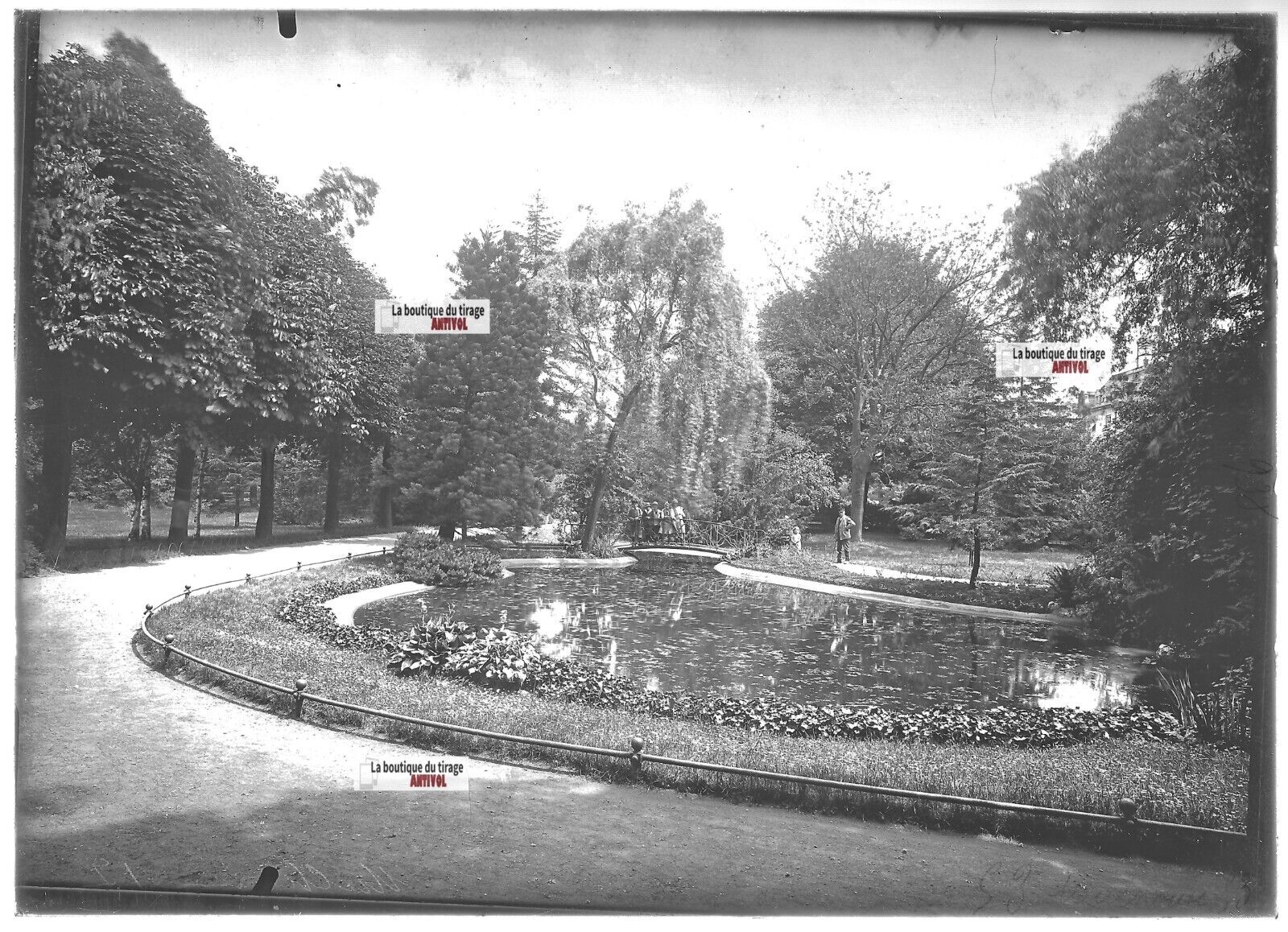 Plaque verre photo ancienne positif noir et blanc 13x18 cm Mulhouse jardin parc