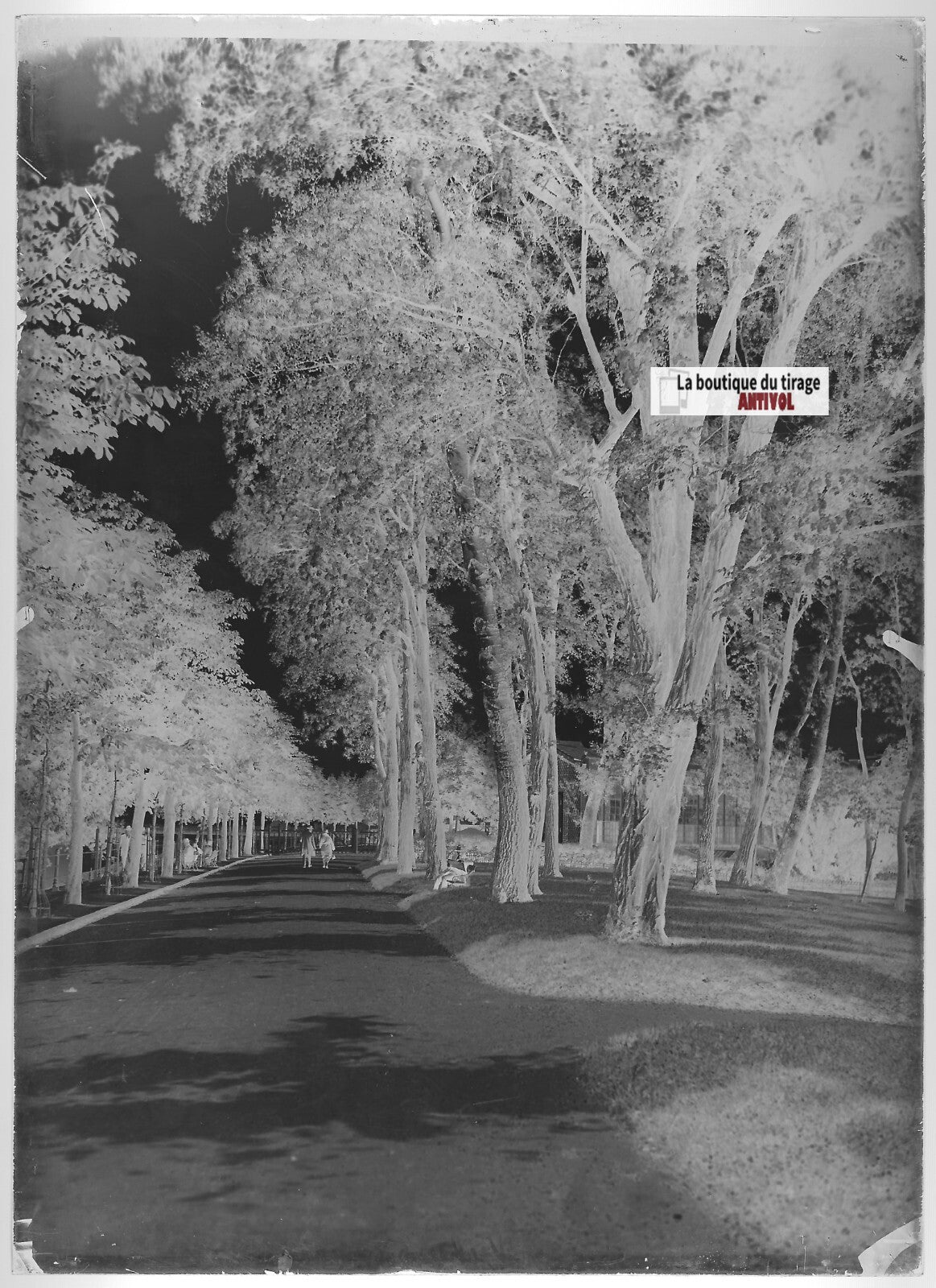 Plaque verre photo ancienne négatif noir et blanc 13x18 cm Vichy rivière Allier