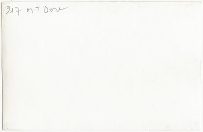 Plaque verre photo vintage négatif noir & blanc 9x14 cm, Mont-Dore, montagne