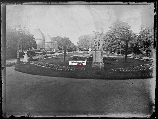 Rennes, Jardin des Plantes, Plaque verre photo, négatif noir & blanc 9x12 cm