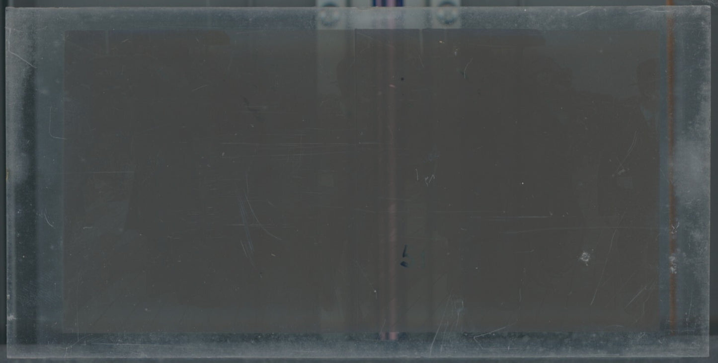 Scène de vie, Longchamp, Paris, plaque verre stéréoscopique, positif 8,5x17 cm