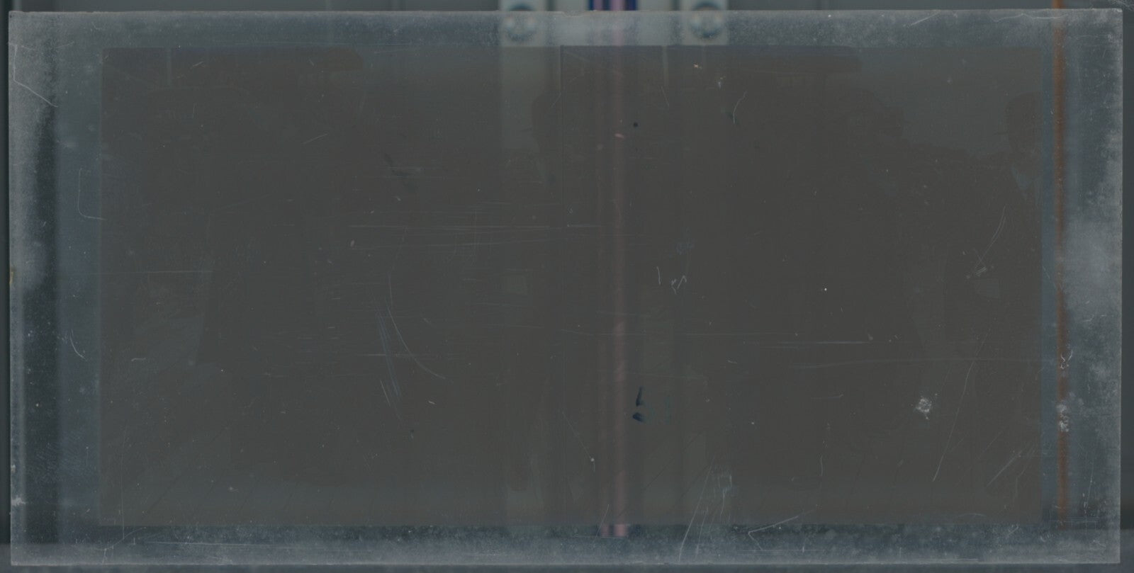 Scène de vie, Longchamp, Paris, plaque verre stéréoscopique, positif 8,5x17 cm