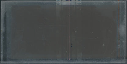 Scène de vie, Longchamp, Paris, plaque verre stéréoscopique, positif 8,5x17 cm