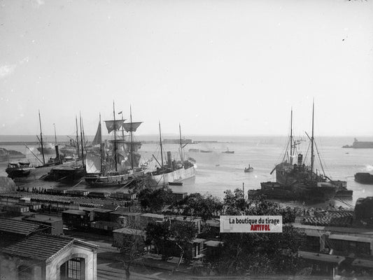 Algérie, Alger, port bateaux, plaque verre photo ancienne, négatif 9x12 cm