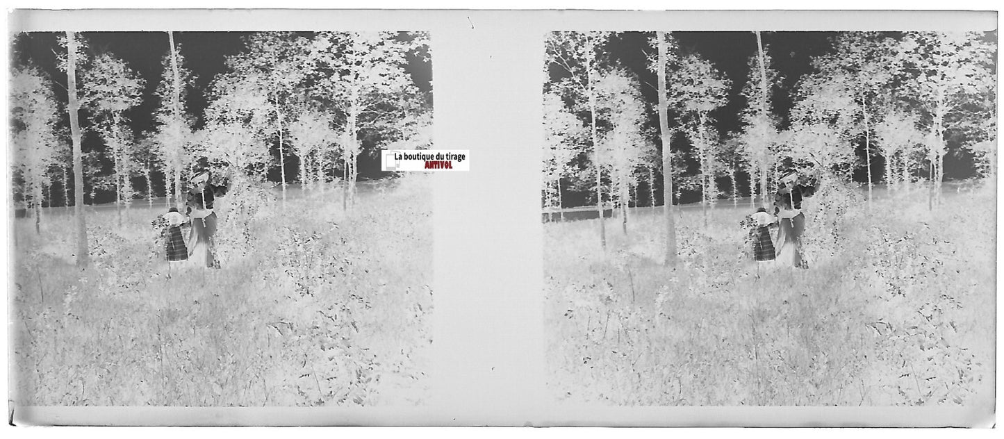 Promenade, Plaque verre photo stéréoscopique, négatif noir & blanc 4,5x10,7 cm