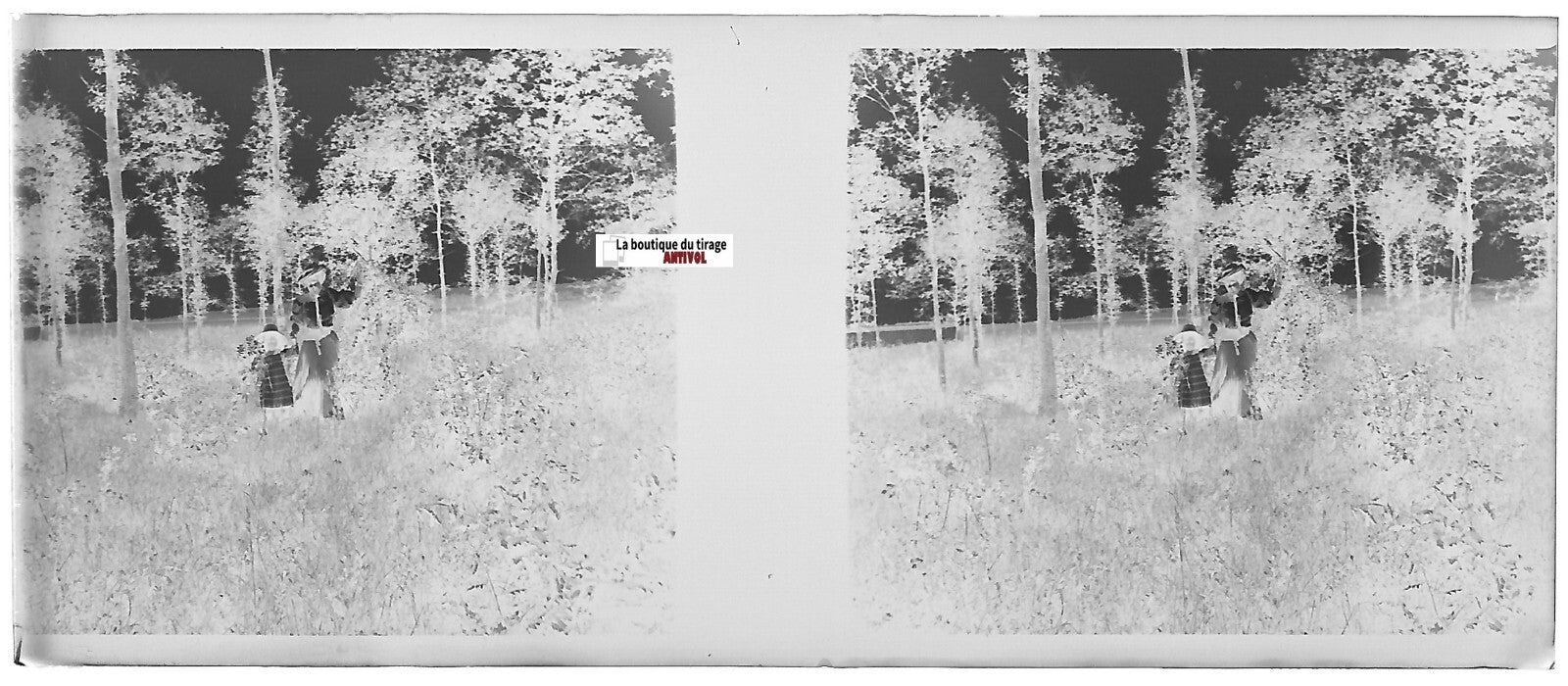 Promenade, Plaque verre photo stéréoscopique, négatif noir & blanc 4,5x10,7 cm