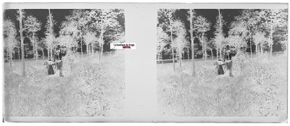 Promenade, Plaque verre photo stéréoscopique, négatif noir & blanc 4,5x10,7 cm
