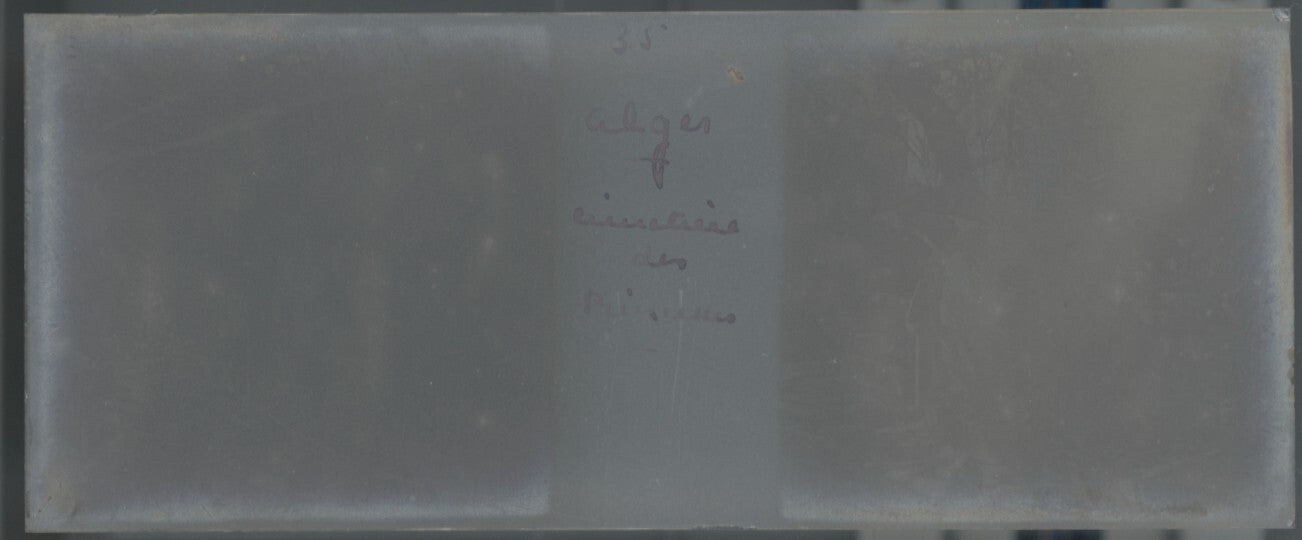 Cimetière, Alger, Algérie, Plaque verre stéréo, positif noir & blanc 4,5x10,7 cm