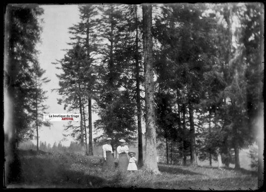 Plaque verre photo ancienne négatif noir et blanc 13x18 cm forêt bois famille