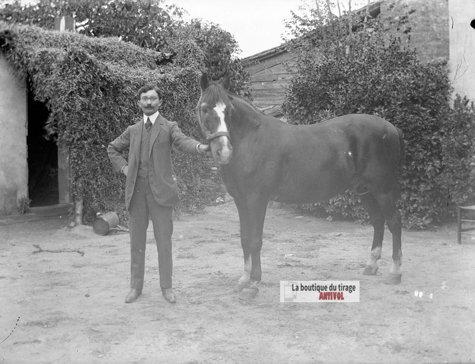 Homme posant avec un cheval, plaque verre photo ancienne, négatif 9x12 cm
