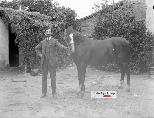 Homme posant avec un cheval, plaque verre photo ancienne, négatif 9x12 cm