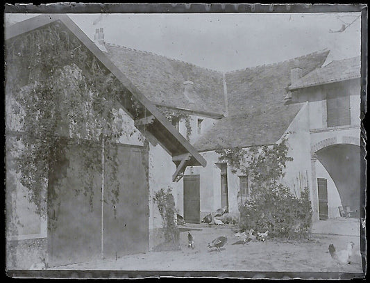 Plaque verre photo ancienne négatif noir et blanc 4x6 cm ferme basse-cour poules