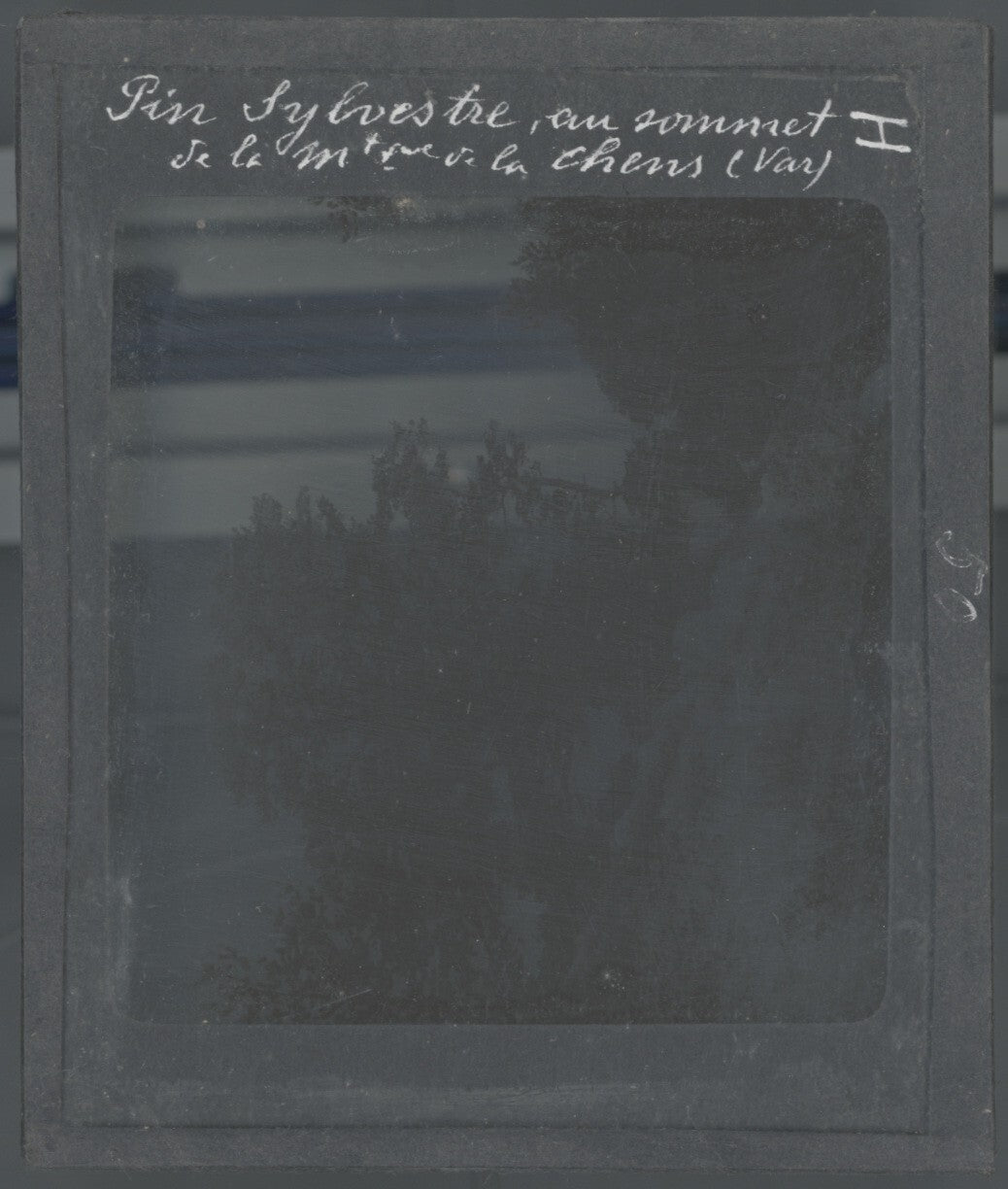 Montagne de Lachens, Var, photo ancienne plaque de verre, positif 8,5x10 cm