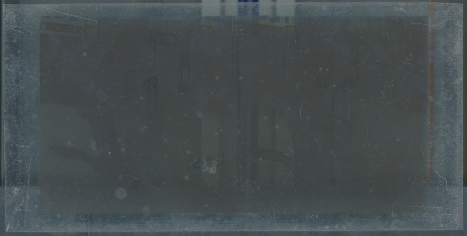 Hippodrome de Longchamp, Paris, stéréoscopie plaque verre, positif 8,5x17 cm