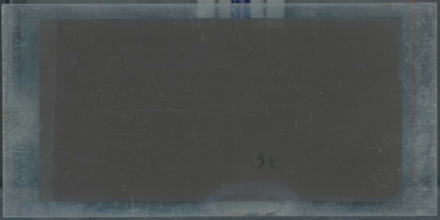 Hippodrome de Longchamp, Paris, stéréoscopie plaque verre, positif 8,5x17 cm