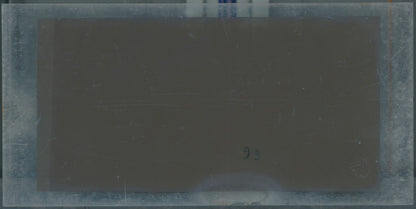 Hippodrome de Longchamp, Paris, stéréoscopie plaque verre, positif 8,5x17 cm