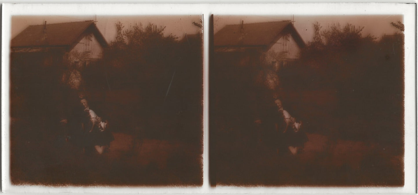 Dame, chien, jardin, Plaque verre photo stéréo, positif noir & blanc 6x13 cm