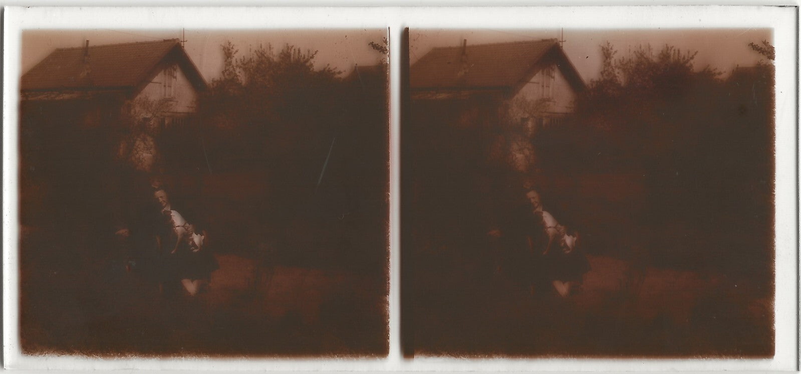 Dame, chien, jardin, Plaque verre photo stéréo, positif noir & blanc 6x13 cm