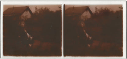 Dame, chien, jardin, Plaque verre photo stéréo, positif noir & blanc 6x13 cm