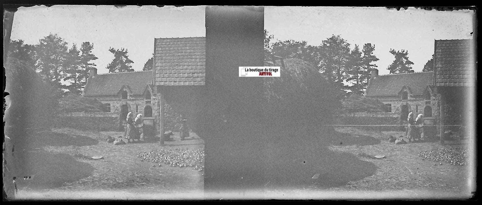 Campagne, Plaque verre photo stéréoscopique, négatif noir & blanc 4,5x10,7 cm