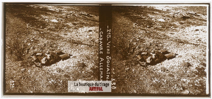 Souain, cadavre allemand, guerre WW1, plaque verre photo ancienne stéréo 6x13 cm