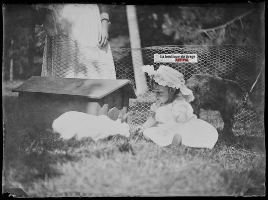 Plaque verre photo ancien négatif noir et blanc 9x12 cm petite fille animaux