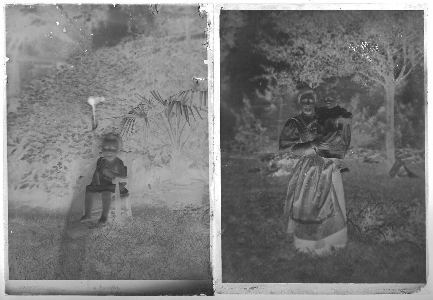 Belgique, enfants, campagne, photo plaque de verre, lot de 10 négatifs 13x18 cm