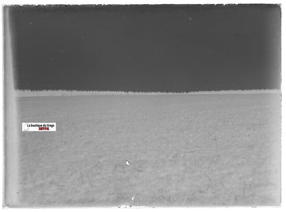 Campagne, paysage, Plaque verre photo ancienne, négatif noir & blanc 6x9 cm