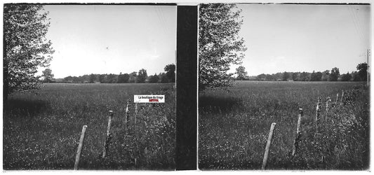 Campagne, paysage, Plaque verre photo stéréo, positif noir & blanc 6x13 cm