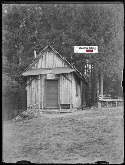 Forêt, cabane, bois, Plaque verre photo, négatif ancien noir & blanc 9x12 cm