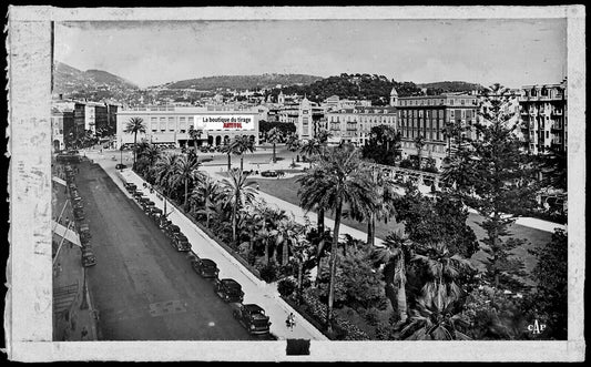 Plaque verre photo négatif noir et blanc 9x14 cm Nice, jardin Albert 1er, France