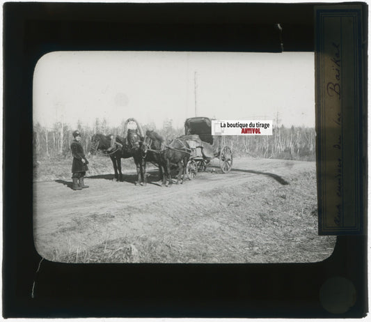 Lac Baïkal, Russie, photo plaque verre, noir & blanc, positif 8,5x10 cm