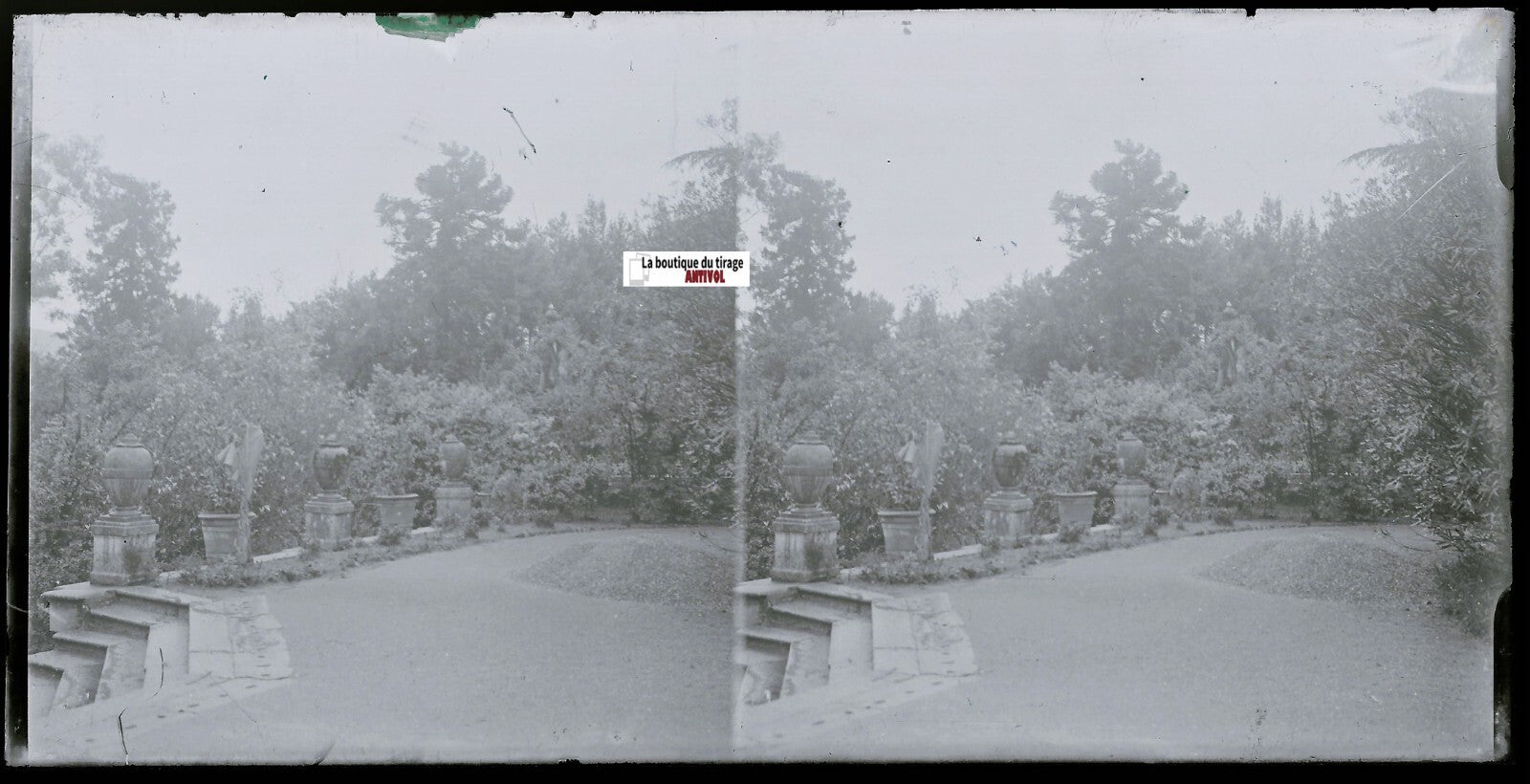 Jardin, parc, Plaque verre photo ancienne, stéréo négatif noir & blanc 9x18 cm
